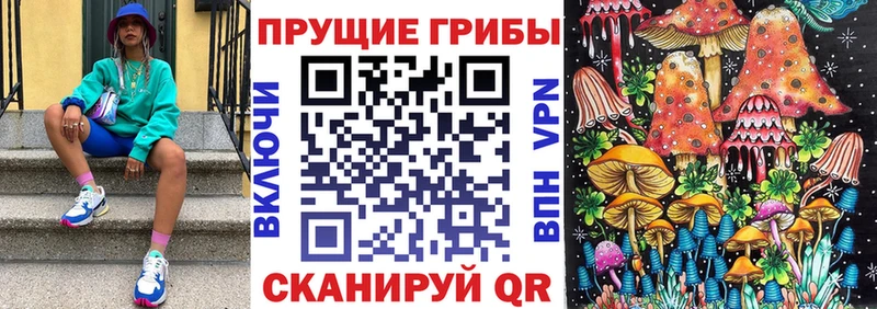 Галлюциногенные грибы мицелий hydra зеркало Абакан