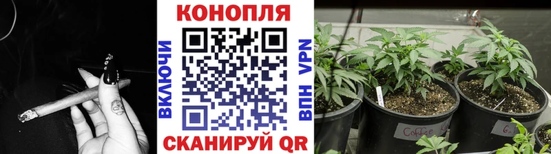 Бошки Шишки ГИДРОПОН  где можно купить   Абакан 